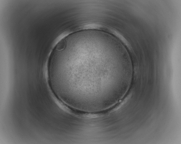 X0000112021034200908101358