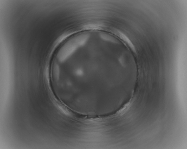 X0000112021035200908101358