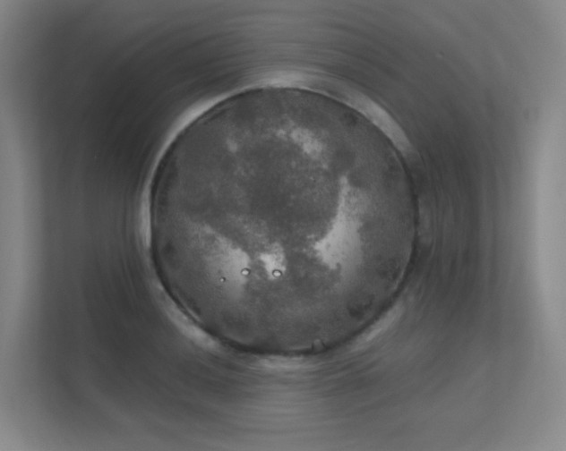 X0000112021036200908101358