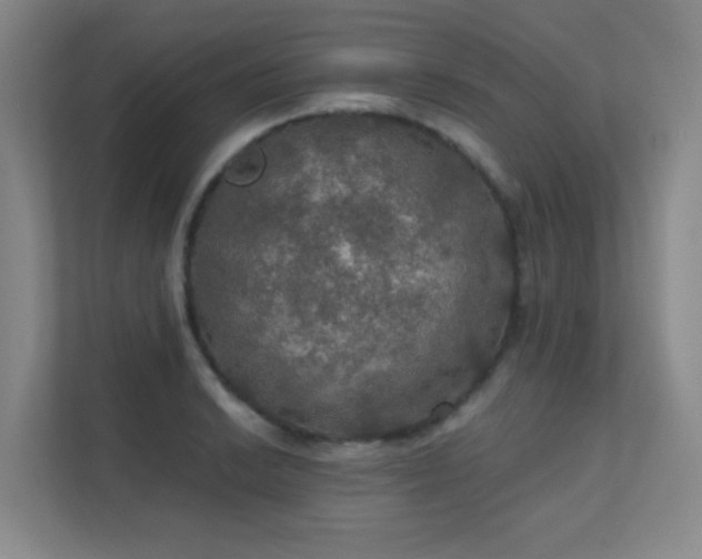 X0000112021038200908101358