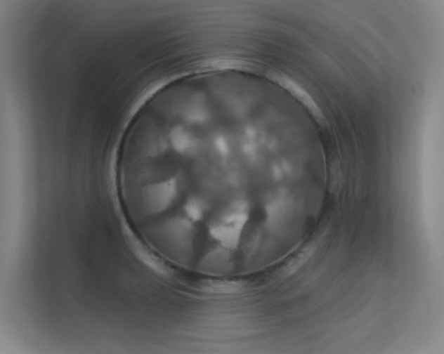 X0000112021039200908101358