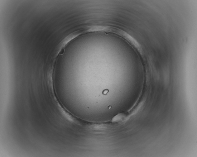 X0000112021041200908101358