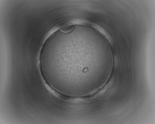 X0000112021042200908101358