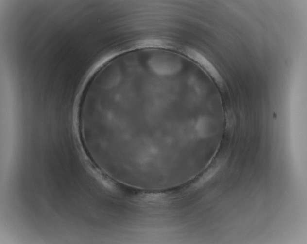 X0000112021043200908101358