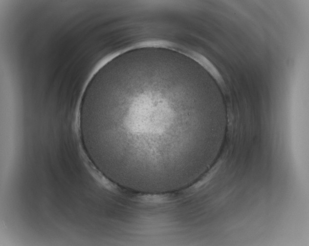 X0000112021044200908101358