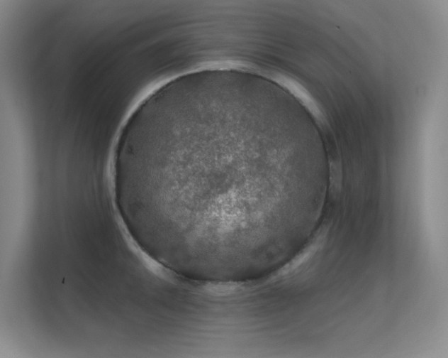 X0000112021046200908101358