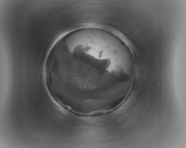 X0000112021048200908101358