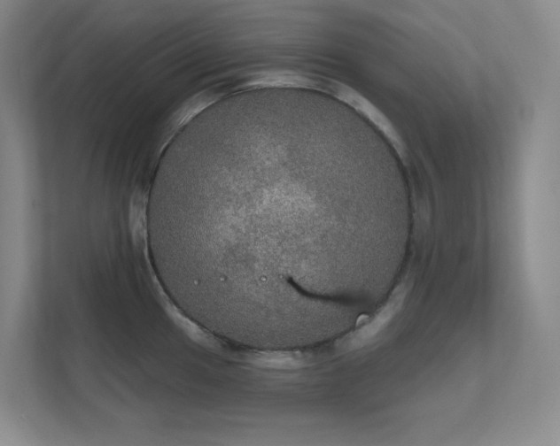 X0000112021049200908101358