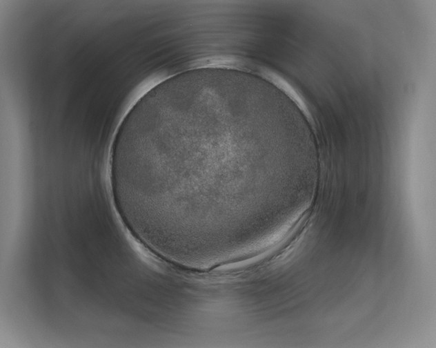 X0000112021050200908101358