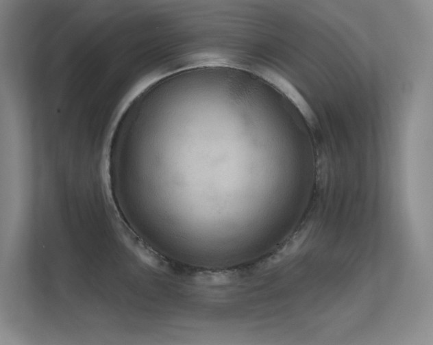 X0000112021051200908101358