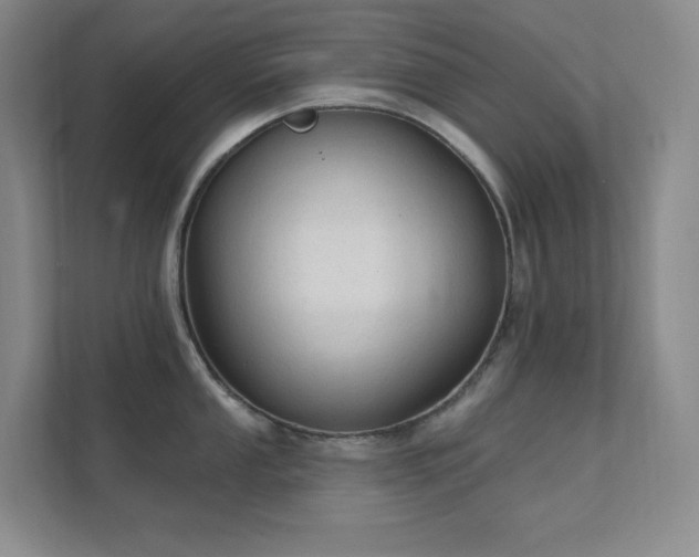 X0000112021053200908101358