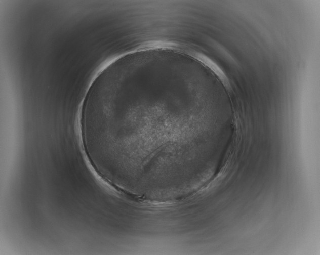 X0000112021055200908101358