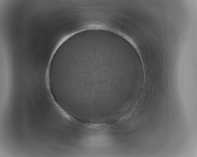 X0000112021056200908101358