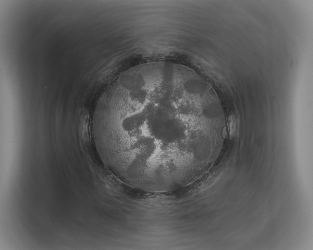 X0000112021059200908101357