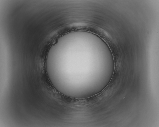 X0000112021062200908101357