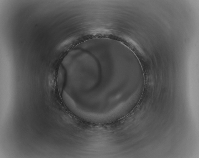 X0000112021063200908101357