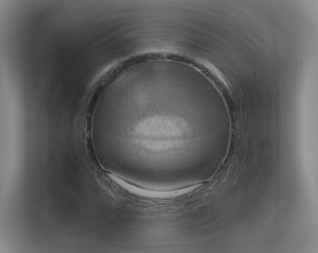 X0000112021064200908101357