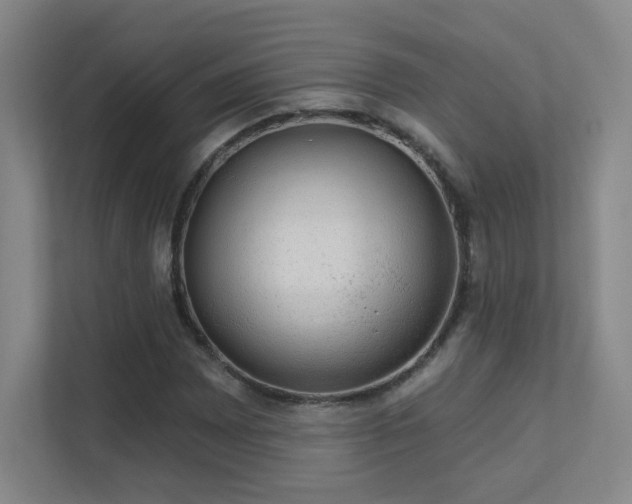 X0000112021065200908101357