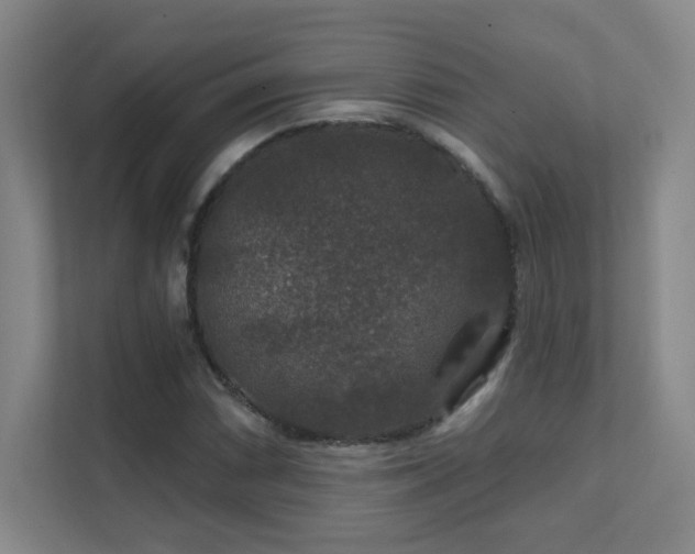 X0000112021066200908101357