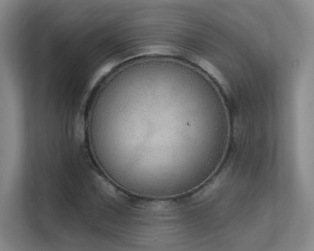 X0000112021067200908101357