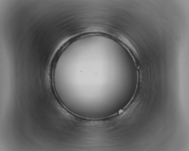 X0000112021068200908101357