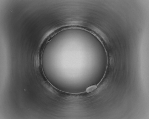 X0000112021069200908101357