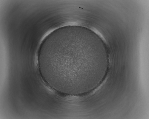 X0000112021070200908101357