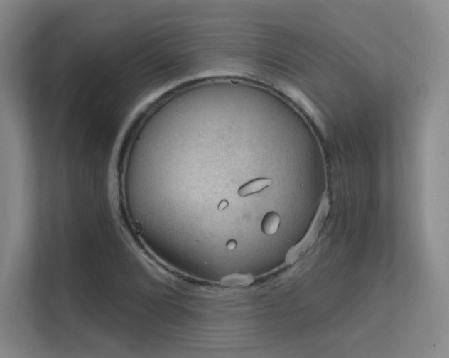 X0000112021072200908101357