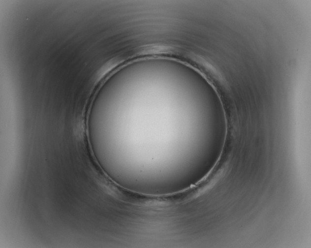 X0000112021073200908101357