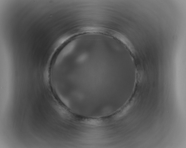 X0000112021074200908101357