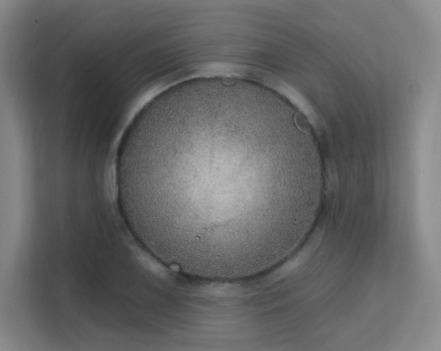 X0000112021075200908101357