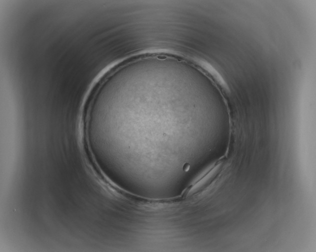 X0000112021076200908101357