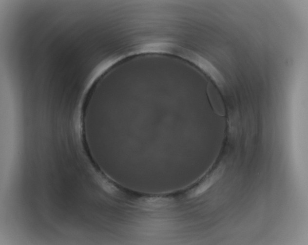 X0000112021077200908101357