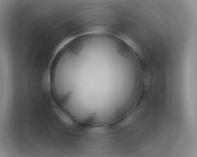 X0000112021078200908101357