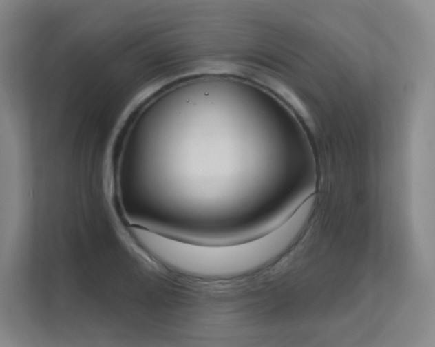 X0000112021080200908101357