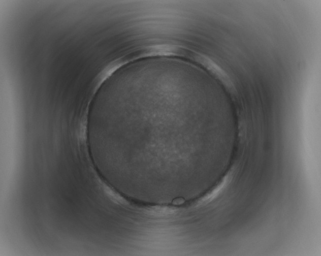 X0000112021081200908101357