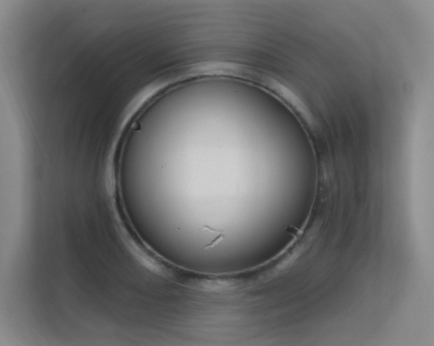 X0000112021082200908101357