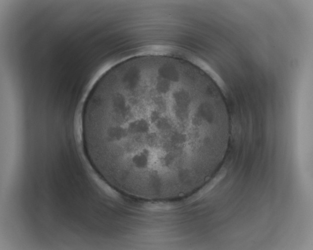 X0000112021083200908101357