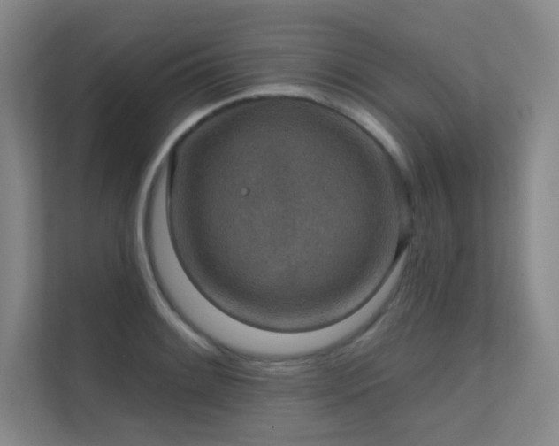 X0000112021084200908101357