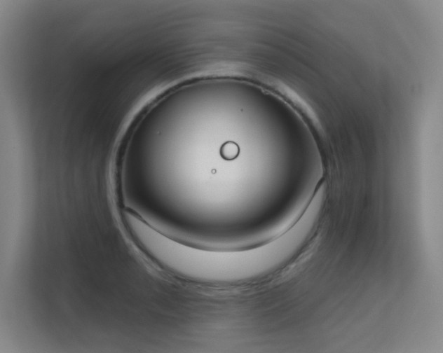 X0000112021085200908101357