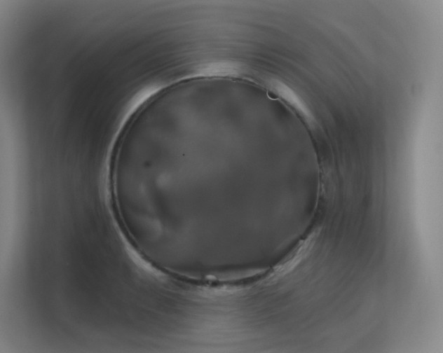 X0000112021087200908101357