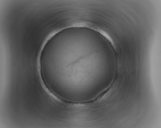 X0000112021088200908101357