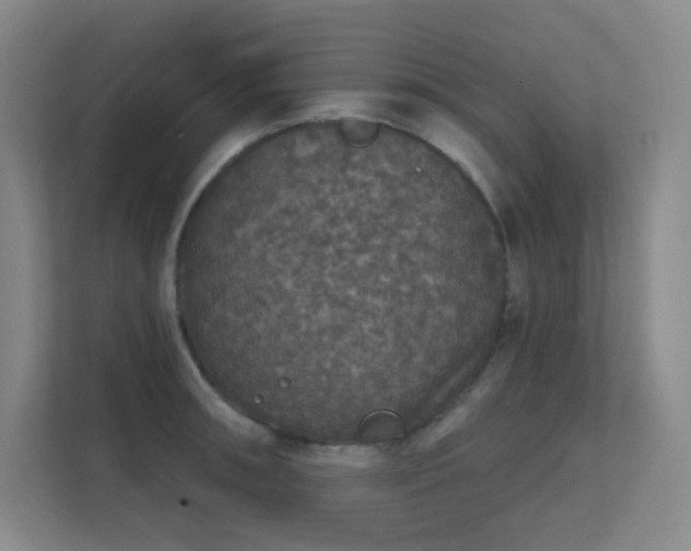 X0000112021090200908101357