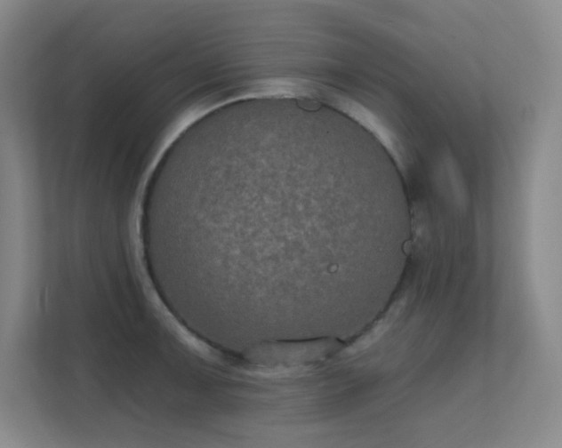 X0000112021091200908101357