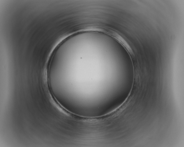 X0000112021092200908101357