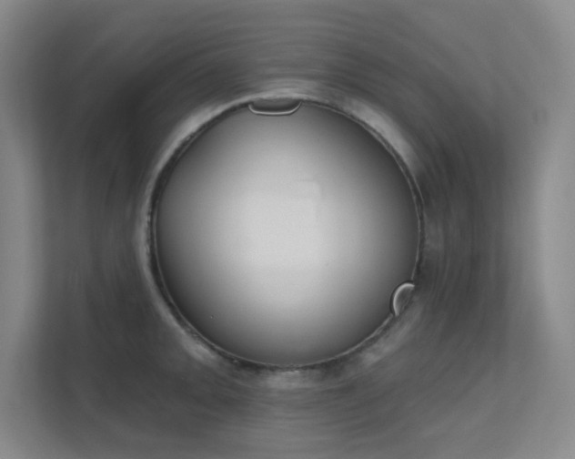 X0000112021093200908101357