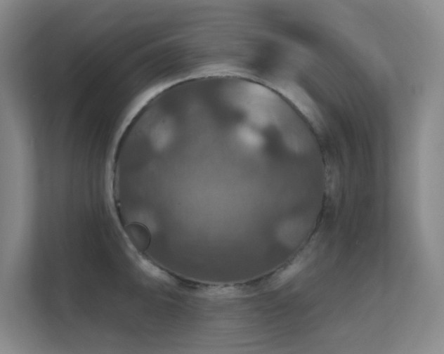 X0000112021094200908101357