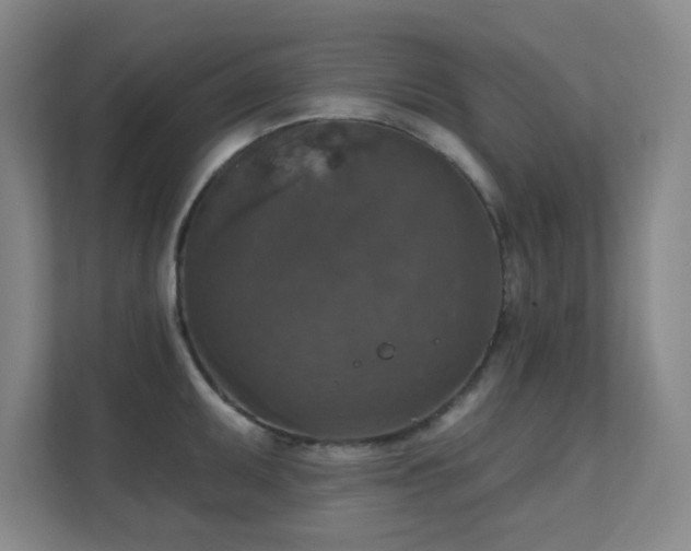 X0000112021095200908101357