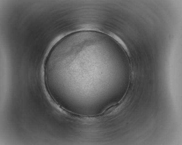 X0000112021096200908101357