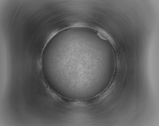 X0000112021097200908101357